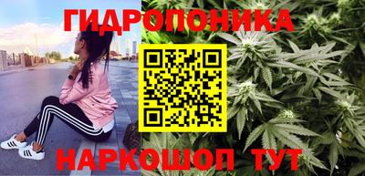 гашик Обнинск
